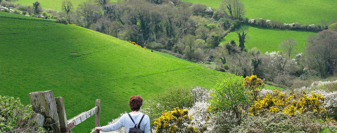 South Devon Area of Outstanding Natural Beauty Walks and Trails
